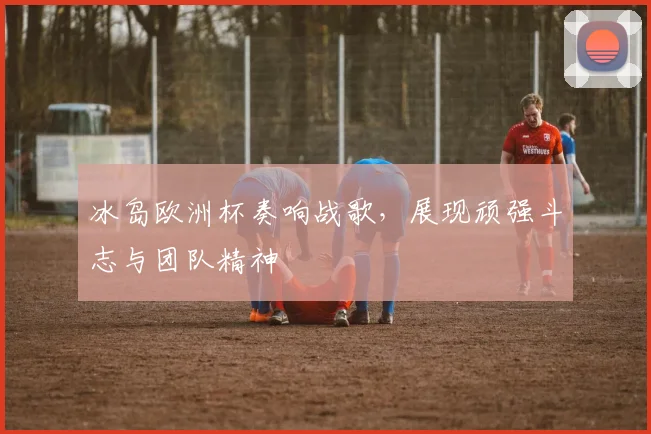 冰岛欧洲杯奏响战歌,展现顽强斗志与团队精神