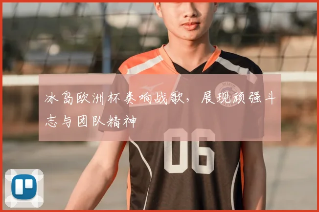 冰岛欧洲杯奏响战歌，展现顽强斗志与团队精神